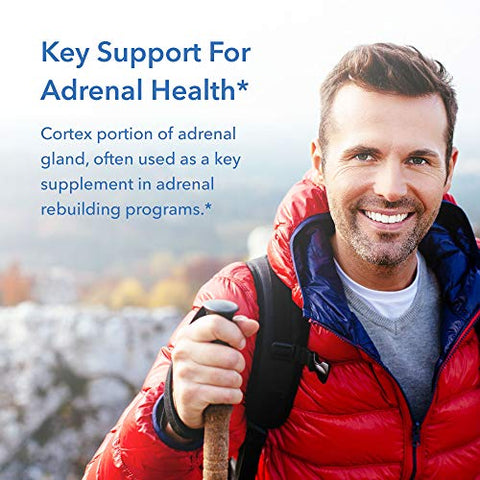 Suporte para Córtex Adrenal, Função Imunológica, Extrato Adrenal 100mg, Bovino – 100 Cápsulas - Allergy Research Group