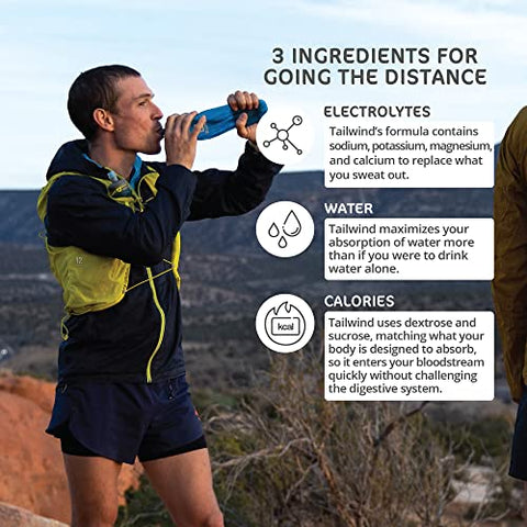 Endurance Fuel: Pó para Bebida Esportiva de Única Porção com Eletrólitos, Sem OGM, Livre de Soja, Laticínios e Glúten, Vegano, Sem Sabor, Embalagem com 12 Unidades - Tailwind Nutrition