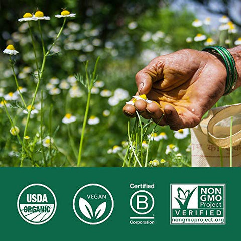 Canela Ceylon Herbal – Vegano, Sem Glúten, Kosher – Certificado Orgânico USDA, Não-OGM – 90 Cápsulas - ORGANIC INDIA