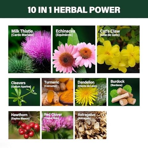 Verdeherb - Cleavers Lymphatic Drainage Drops Enhance Lymph System Detox Cleanse, Poke Root, Echinacea, Milk Thistle, Cats Claw, Turmeric, Dandelion, Burdock Immune Support Supplement, Made…