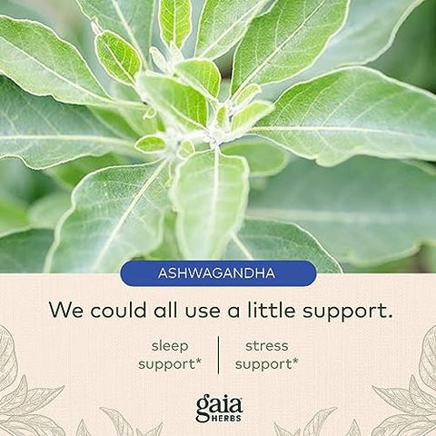 SleepThru – Suporte Natural ao Sono com Raiz de Ashwagandha Orgânica, Casca de Magnólia Orgânica, Passiflora e Tâmara de Jujuba – 120 Cápsulas Líquidas Veganas de Fitoterapia - Gaia Herbs