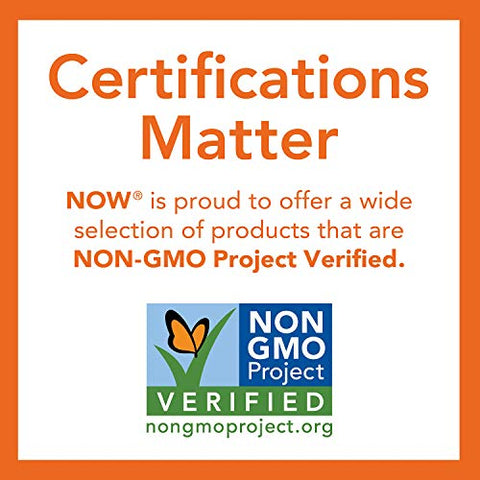Suplementos, Casca de Psyllium Integral, Verificado pelo Projeto Non-GMO, Fibra Solúvel, 680g - NOW Foods
