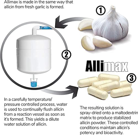 180mg 90 Cápsulas – Suplemento de Alho Allicin para Fortalecer a Imunidade do Corpo. Contém Allicin Bioativo Estabilizado e Potente, Extraído de Fontes Limpas - ALLIMAX