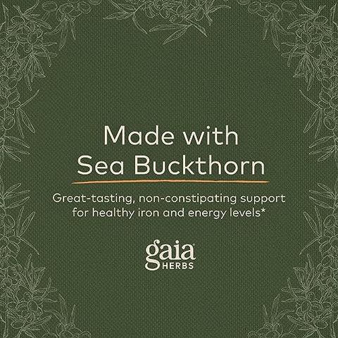 Suplemento de Ferro Vegetariano Gaia Herbs Plant Force – Líquido para Manter uma Saúde de Ferro