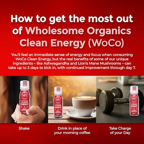 WHOLESOME ORGANICS - Energético Natural Extra Forte Sem Açúcar – Shots de Energia 60ml