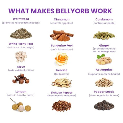 Belly Orb – Adesivo BellyOrb – Funciona para Homens e Mulheres com Artemísia, Cravo, Canela, Gengibre 30 Peças - LURE Essentials