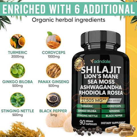 Adndale - Shilajit Puro do Himalaia Orgânico. 11 em 1 para Homens. Cápsulas de Shilajit com Sea Moss, Ashwagandha, Rhodiola Rosea, Panax Ginseng, Cúrcuma e Lion’s Mane