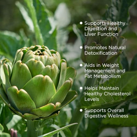 FULL OF NATURE FUNAT - ARTICHOKEDIET com Boldo | ALCACHOFA CON Boldo | Suplemento Herbal para Emagrecimento e Digestão – 60 Cápsulas
