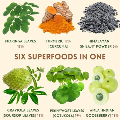 Feenlo - Blend em Pó de Moringa, Shilajit, Cúrcuma, Graviola, Gotu Kola e Amla Orgânico e Não-OGM | Poder Verde Apresentado em Embalagem de 3 Meses
