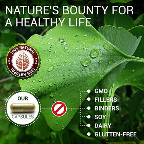 HERBALICIOUS - Cápsulas de Ginkgo Biloba – Suplemento Natural Diário para Apoio à Clareza Mental, Foco, Estimulação da Memória, Alívio do Estresse, Saúde do Coração e do Cérebro