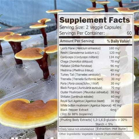 ECO-TASTE - Suplemento 14 Cogumelos 120 Cápsulas – Impulsionador do Sistema Imunológico