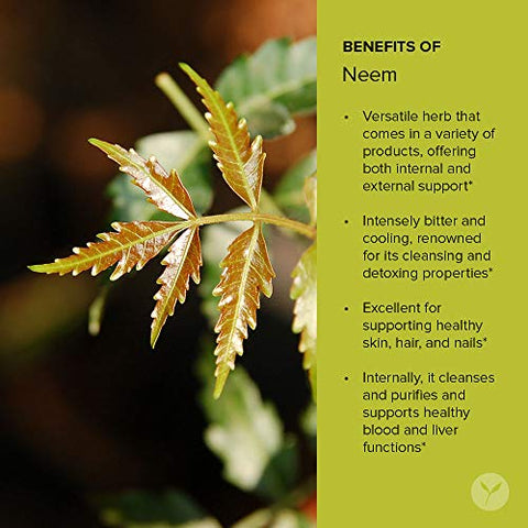 Neem Powder – Azadirachta Indica Orgânico – Erva Ayurvédica Purificadora para uma Pele Saudável - Banyan Botanicals