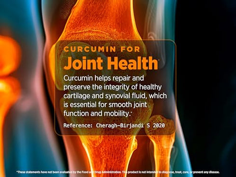 Micellar Curcumin 95x Maior Absorção (2 Meses de Fornecimento) – 60 Cápsulas - Biotest