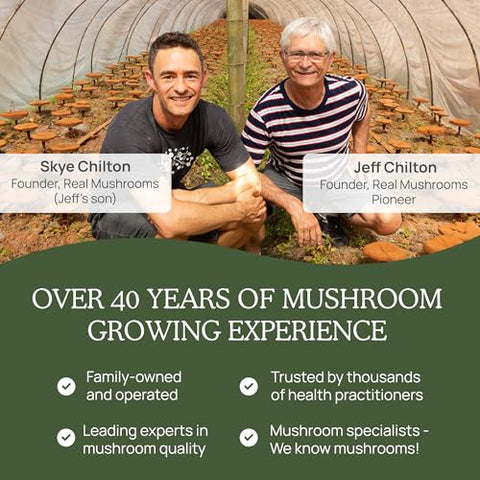 Cápsulas de Turkey Tail Orgânico com Extrato Potente de Turkey Tail para Intestino, Energia e Cérebro | 60 Cápsulas - Real Mushrooms