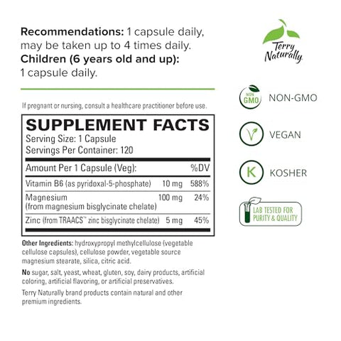 BioActive Magnesium Complex – 120 Cápsulas – com Vitamina B6 | Complexo de Magnésio Bioativo - Terry Naturally
