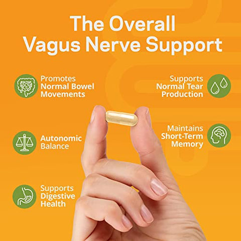 TJ Nutrition - Parasym Plus – Suporte ao Nervo Vago, Suplemento Nutricional Digestivo Patenteado, Estimulante de Energia para Homens e Mulheres, Suplemento para Memória Cerebral, Suporte Suave ao Sistema Imunológico, 60 cápsulas