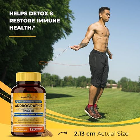 SANDHUHERBALS - Sandhu Herbals Andrographis Paniculata Kalmegh | Suporte à Saúde Imunológica e Hepática | 120 Cápsulas Vegetarianas, 2 Meses de Suprimento | Complexo Herbal Ayurvédico Vegetariano