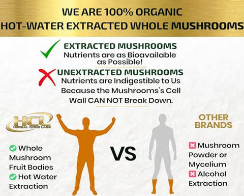 HCL HERBAL CODE LABS - Suplemento de Cogumelo Orgânico Extratos de Lion’s Mane Cordyceps Chaga Reishi Turkey Tail Maitake Shiitake Cápsulas – Vitaminas Naturais Minerais Antioxidantes – Fabricado no Brasil