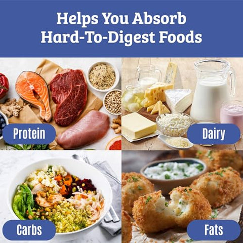 Dr. Matthew - Melhores Enzimas Digestivas para Mulheres – Marca: Primeira Digestão – 60 cápsulas de 500mg