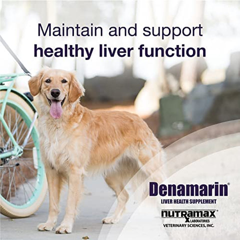Nutramax Laboratories - Nutramax Denamarin – Suplemento para Saúde do Fígado de Cães Grandes – Com S-Adenosilmetionina (SAMe) e Silibina, 30 Unidades (Embalagem de 1)