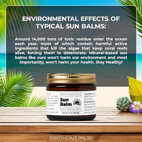Bálsamo Solar Santa Cruz Paleo de Sebo de Carne Bovina e Zinco – Proteção Solar Natural e Nutritiva (50g)