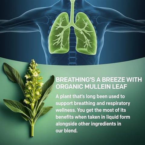 PrimeMD - Gotas de Mullein 5 em 1 para os Pulmões – Extrato de Folha de Mullein para Desintoxicação e Saúde Respiratória dos Pulmões – Tintura de Mullein com Sabugueiro e Alteia (G)
