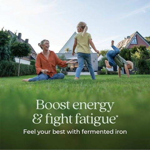 New Chapter - Novo Capítulo Suplemento de Ferro, Complexo de Ferro Fermentado de Alimentos Integrais Feito com Vegetais Orgânicos – 100% Natural e Eficaz