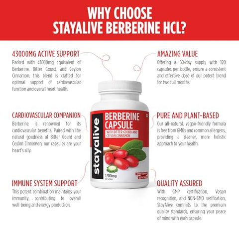 Berberine com Canela do Ceilão, Berberina HCL 1200mg c/ Extrato de Melão Amargo 300mg, Super Extrato 30:1, 120 Cápsulas de Berberina, Vegano, Não-OGM - STAY ALIVE