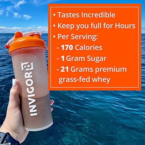 Shake de Proteína Isolada de Soro de Leite de Pasto Superfood Sabor Chocolate Brownie – Substituto de Refeição sem Glúten e Não-OGM com Probióticos e Ômega 3 (645g) - INVIGOR8