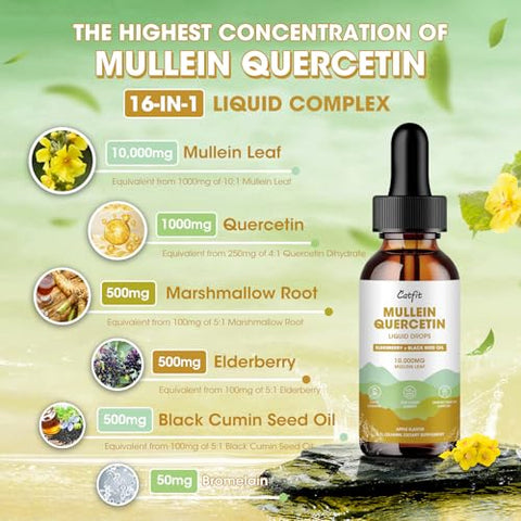 Catfit - Gotas de Mullein para os Pulmões – Extrato Líquido de Folha de Mullein – Limpeza Pulmonar para Fumantes – Poderosa Tintura de Mullein para Suporte à Saúde Imunológica, Respiratória e da Pele – Maçã