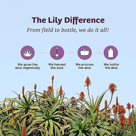 Fórmula Estômago, Suco Orgânico de Aloe Vera com Ulmus Rubra, Camomila, Hortelã-Pimenta e Gengibre para Saúde Intestinal, Alívio de Refluxo Ácido e Azia, 32 ml - Lily Of The Desert