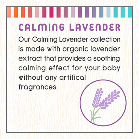 2-em-1 Lavagem para Bebês, Sabonete Corporal Hipoalergênico com Ingredientes Orgânicos, Essenciais para o Banho do Bebê, Lavanda Calmante, 500 ml - Little Twig