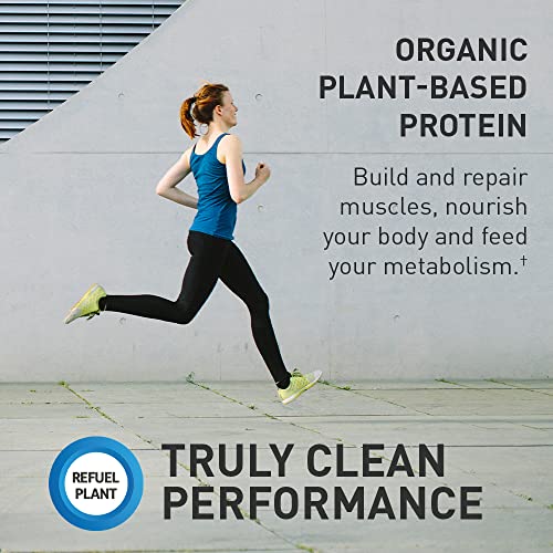 Super Greens em Pó para Smoothie com 60 Porções e Proteína Vegana Orgânica para Esportes com 19 Porções - Garden of Life