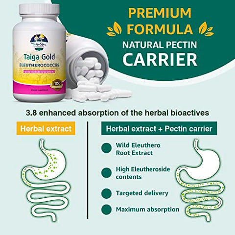 TAIGASEA - Extrato de Raiz de Eleuthero Selvagem, Mistura de Extrato Herbal com Eleutherococcus para Imunidade e Forma Física, Resistência e Resistência, 100 Cápsulas Vegetarianas