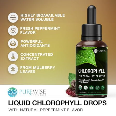 PureWise - Gotas Líquidas de Clorofila – Impulso Energético, Suporte Imunológico, Desodorante Interno, Poderoso Antioxidante, Digestão, Desintoxicação – 100% Natural, Não Transgênico, Vegano, Sabor Menta – Kit com 3