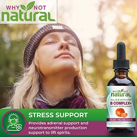 Why Not Natural - Vitaminas B Líquidas Naturais – Complexo Orgânico para Mulheres – Vegano e Sublingual – B1 B2 B3 B5 B6 Biotina Folato e Colina – Fórmula Anti-Stress – 30ml