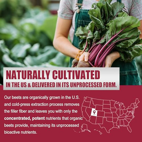 Nextdia - Gomas de Beterraba – Deliciosas e Nutritivas – 100% Natural – Marca: Beet Boost – 60 g