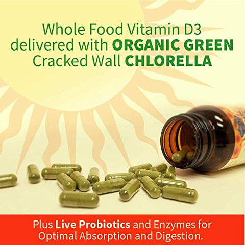 Multivitamínico Masculino 120 Comprimidos + Vitamina D 5000 UI 60 Cápsulas – Promoção - Garden of Life