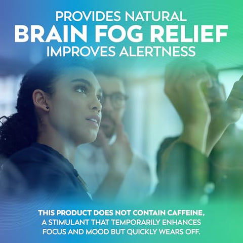 Dr Lewis Nutrition - Suplemento Cognitivo Diário à Base de Plantas com BiAloe para Memória e Concentração – Suporte Cerebral e Energia – 150g