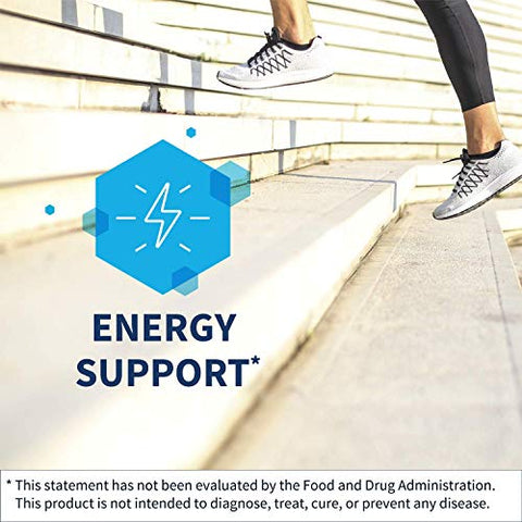 Acetyl-L-Carnitine 500 mg – Suplemento Hipoalergênico de Acetil L-Carnitina – Promove a Saúde Cognitiva - Klaire Labs