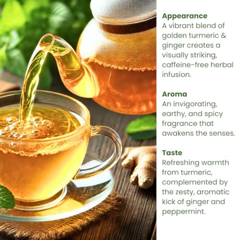 Rachelstea - Chá Rachel’s Turmeric Wild Yam Ginger Marshmallow Camomila, Hortelã-Pimenta, Funcho Slippery Elm Probióticos Sabor de Frutas Mastigável Amigável para Crianças 10 Bilhões Resistente ao Ácido