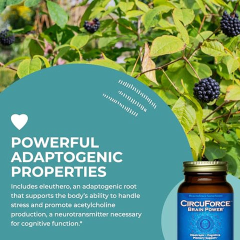 HEALTHFORCE SUPERFOODS - HealthForce SuperFoods CircuForce Brain Power – 90 VeganCaps: Potencialize seu cérebro com este poderoso suplemento vegano