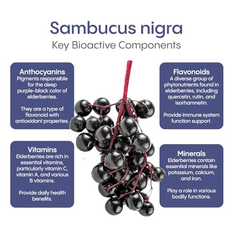 Electrolytes Plus Immunity – Pó de Reidratação Rápida com Baixo Teor de Açúcar, Vitamina C de 1.000mg e 300mg de Sabugueiro - Hydralyte
