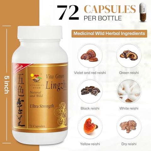 Reishi Mushroom Lingzhi – Extrato de Fungo Antioxidante Puro 100% Natural para Energia e Suporte Imunológico – 72 Cápsulas - Vita Green