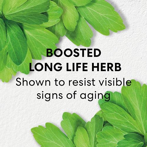 bareMinerals Skinlongevity Serum Facial de Longa Vida Infundido com Niacinamida, Melhora Sinais de Envelhecimento, Fortalece a Barreira da Pele, Reduz Linhas Visíveis, Vegano