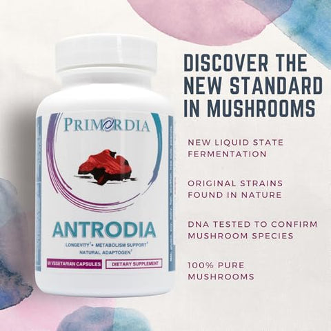 Suplemento de Cogumelo Antrodia Puro, 60 Cápsulas, Fermentação em Estado Líquido, Cogumelos Antrodia Cinnamomea, Suporte para Saúde Intestinal e Metabolismo, Função Hepática - Primordia