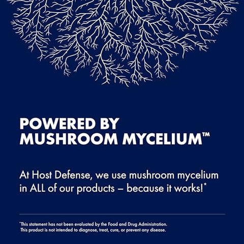MyCommunity Extract – Suplemento de Cogumelos com 17 Espécies para Suporte Imunológico – Extrato com Cabeça de Leão, Reishi, Chaga, Cordyceps, Cauda de Peru – 60g - Host Defense