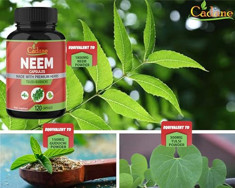 Organic Cadane - Suplemento de Folha de Neem Orgânico Cadane 2250 mg com Manjericão Sagrado Tulsi, Guduchi, 120 Cápsulas Vegetais | Suporta o Sistema Imunológico | Pó Puro Fresco de Folhas de Ervas