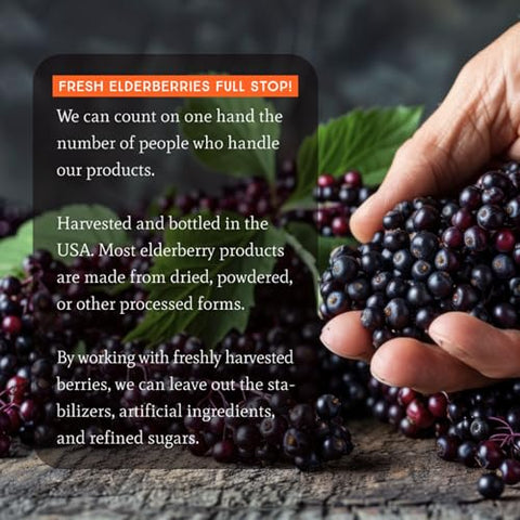 Dr. Appleseed's - Dr. Appleseed’s Xarope de Sabugueiro Orgânico Máxima Potência 28.000mg Crianças Adultos Imunidade Diária Suplemento Vegan Puro 48 Dias – 240ml