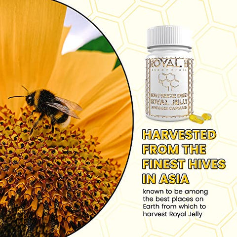 Royal B Essentials - Ultra-Premium Royal Jelly 4,500mg por Frasco (Nootrópicos) em Cápsulas Veganas | 100% Natural – para Suporte Imunológico, Energia | Melhor Marca de Geléia Real